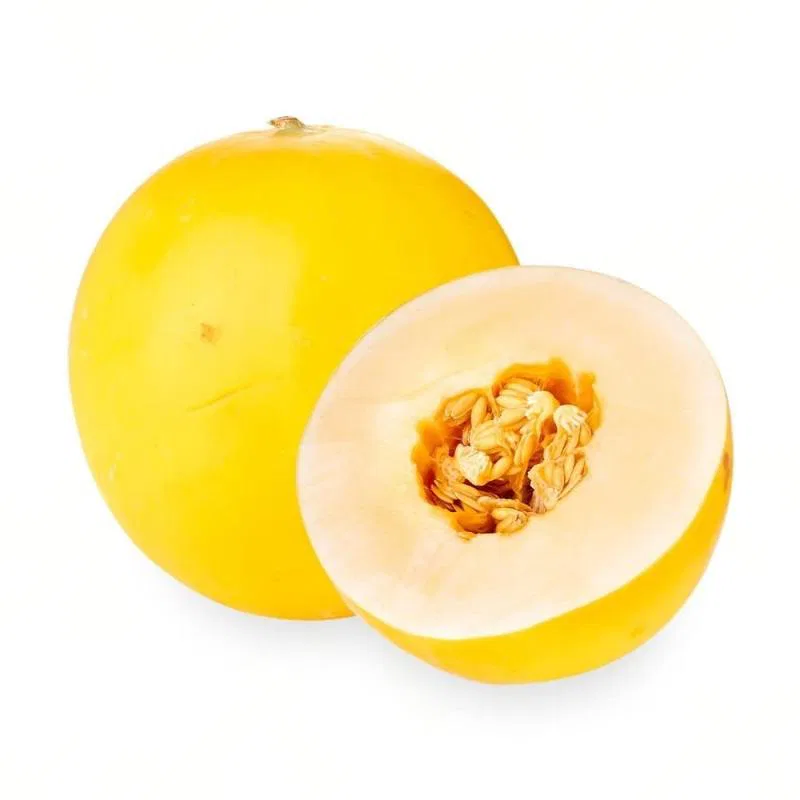 Sun Melon