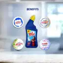 Sanifresh With With Odonil Block – image 4