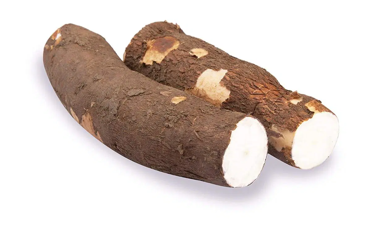 Tapioca Organically Grown