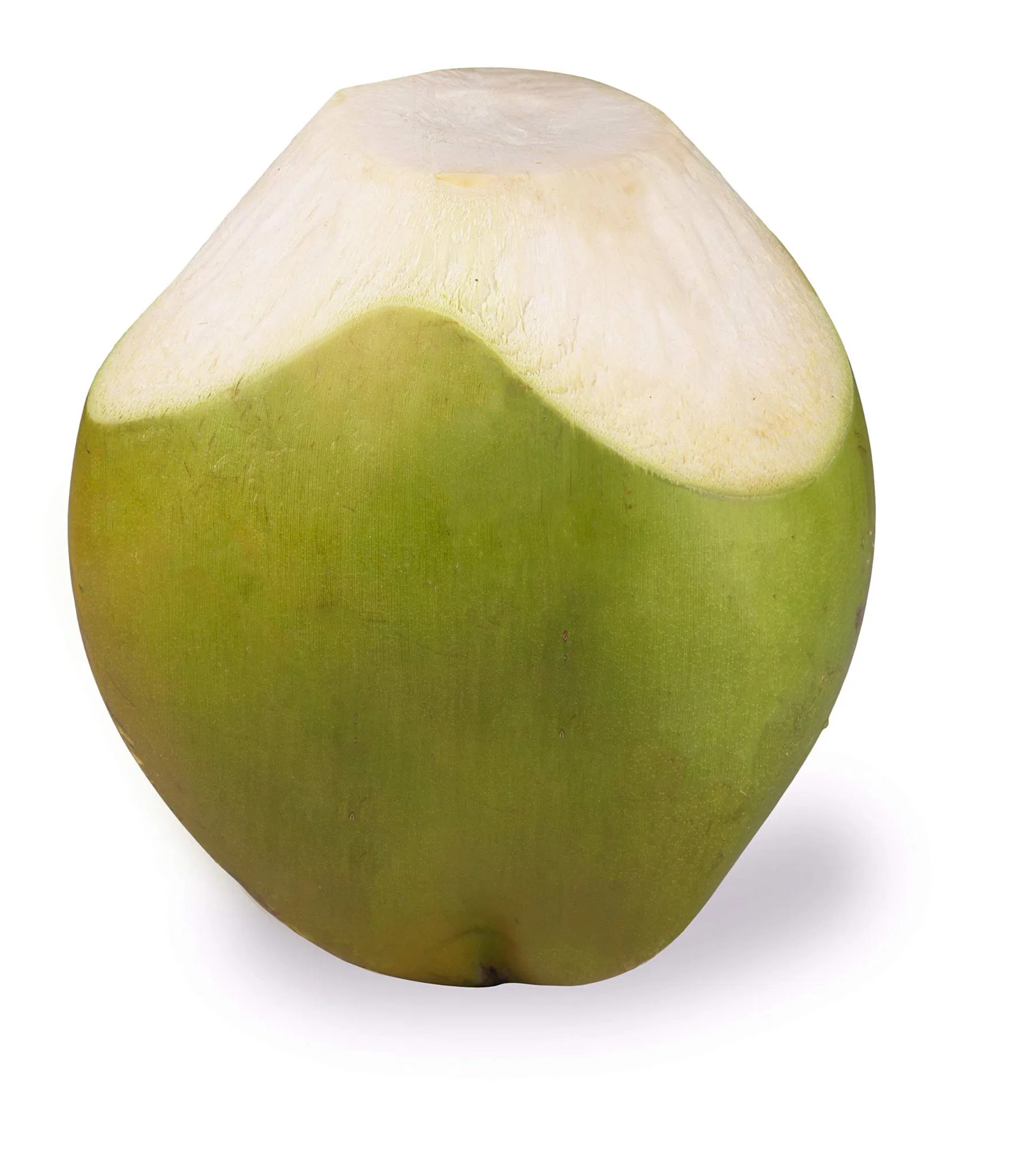 Tender Coconut Medium