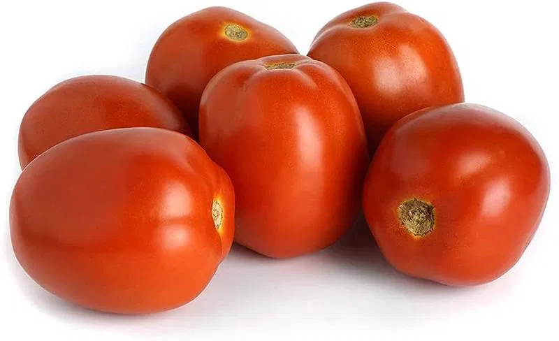 Tomato Hybrid Organically Grown