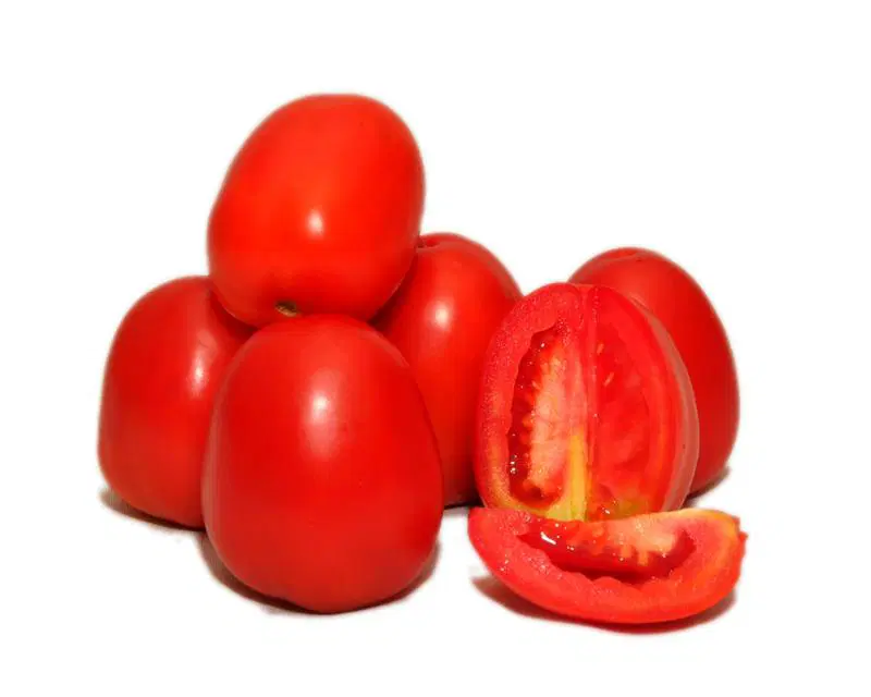 Tomato Hybrid