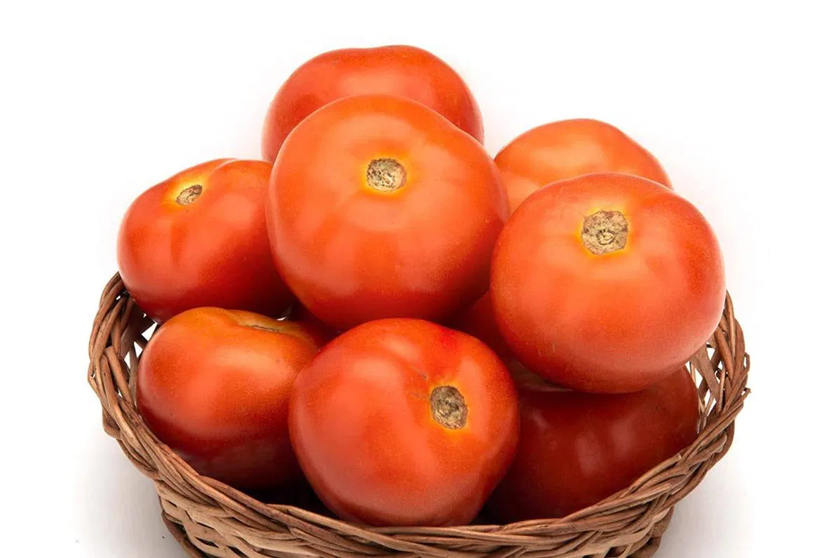 Tomato Local Organically Grown