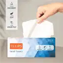 Tulips Dry Facial Tissue – image 1