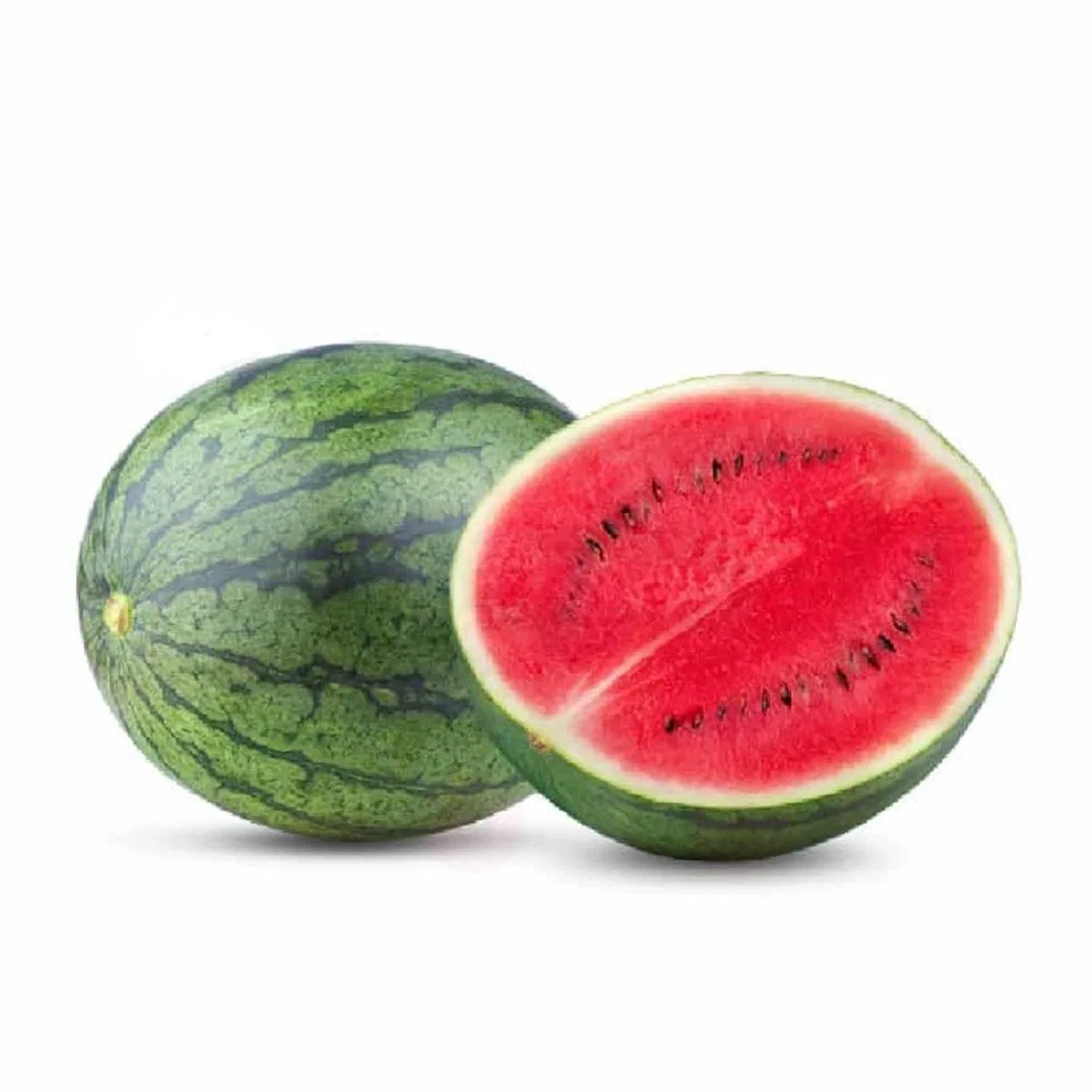 Watermelon Stripped Large