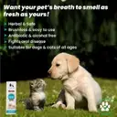 WIGGLES DentaPet Dog Mouth Freshener Spray, Dental Care Cat Teeth Cleaning Spray – image 3