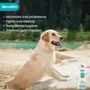 WIGGLES DentaPet Dog Mouth Freshener Spray, Dental Care Cat Teeth Cleaning Spray – image 4