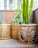 Ajaara Classic Planter Pot – image 2