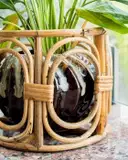 Ajaara Classic Planter Pot – image 3
