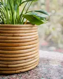 Ajaara Handcrafted Rattan Coiled Planter Pot – image 2