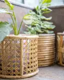 Ajaara Handcrafted Rattan Hanging Planter – image 3