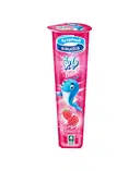 ICE CREAM SAUDIA BABOO RASPBERRY – image 1
