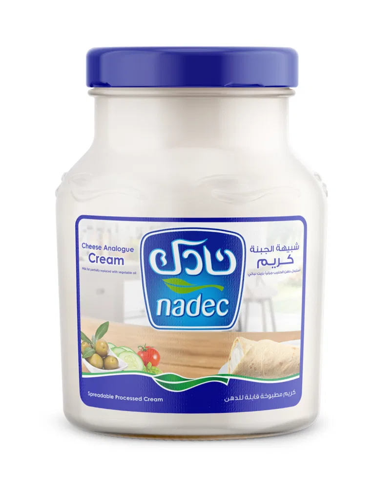 CHEESE NADEC CREAM ANALOGUE