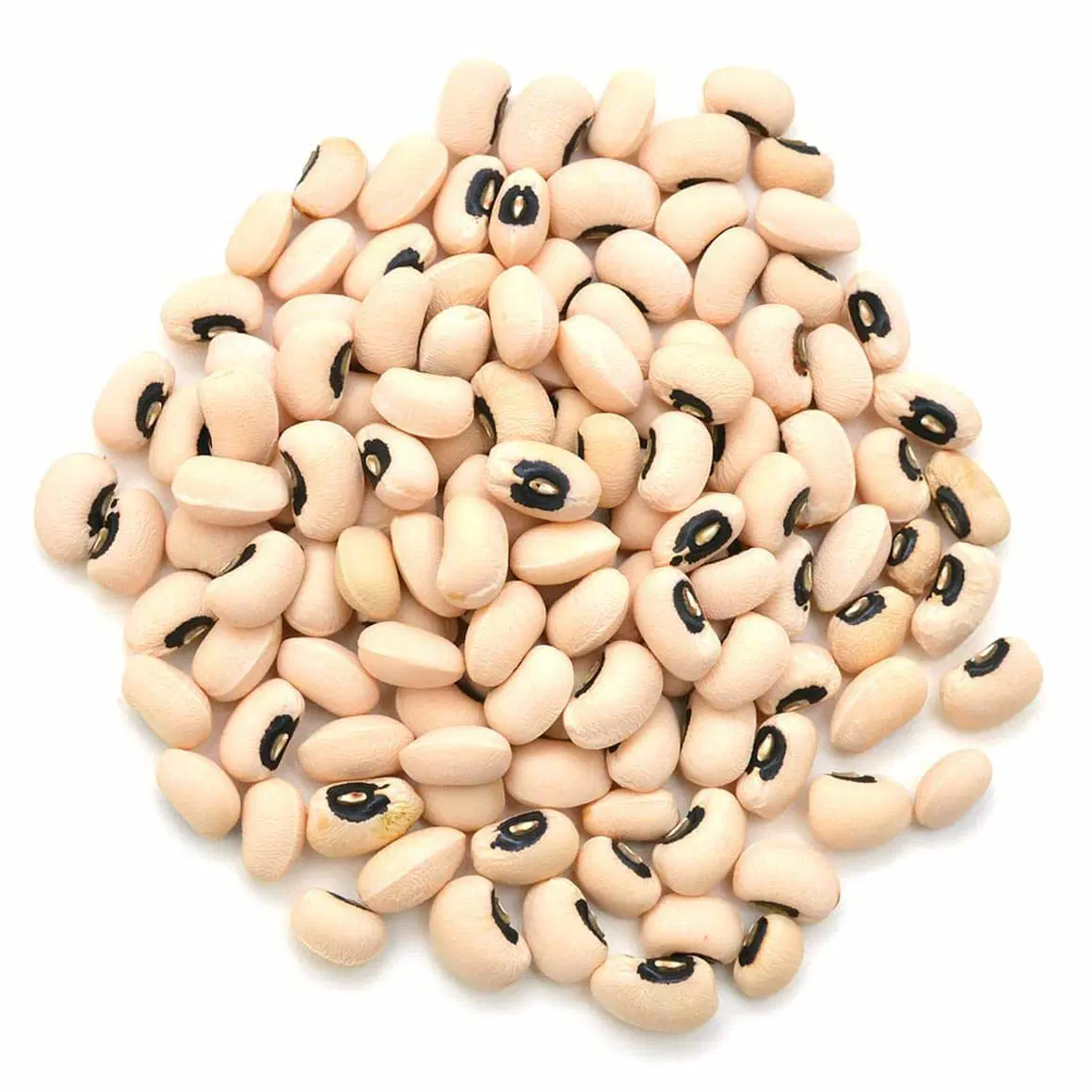 دانية لوبيا 400 جرام