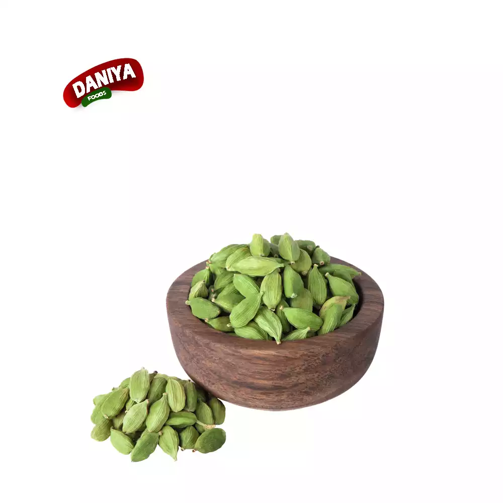 DANIYA ELACHI