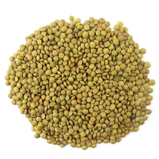 دانية عدس اخضر حب 400 جرام