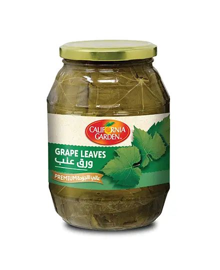 GRAPE LEAVES CALIFORNIA GARDEN
