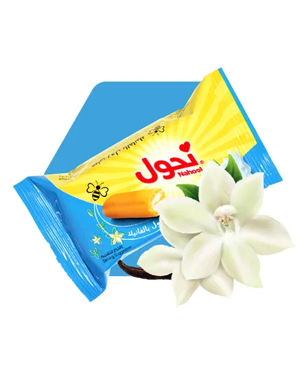 NAHOOL VANILLA MINI ROLL