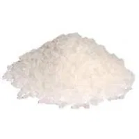 SALT KEES