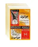 الجص المسامي الأمريكي – image 1