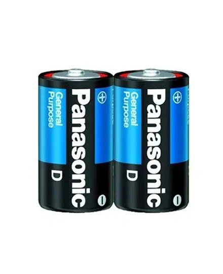 PANASONIC BATTERY D