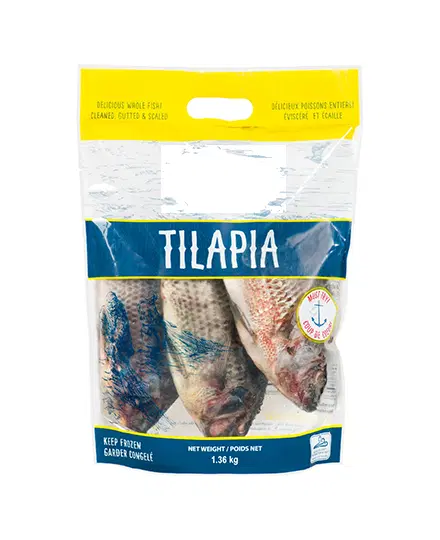 FISH FROZEN TILAPIA