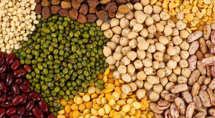 Dals & Pulses