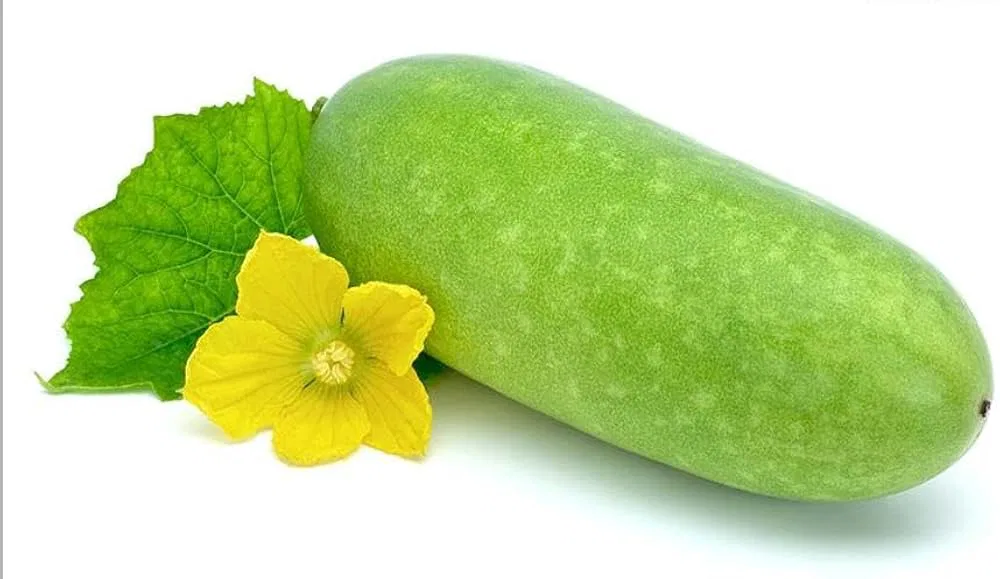Ash Gourd (Kumura)