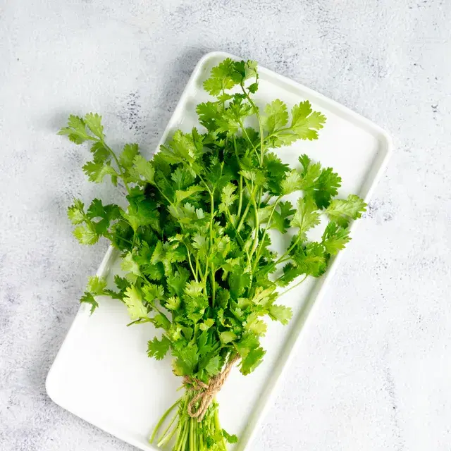 Coriander Leaves (Dhaniya)