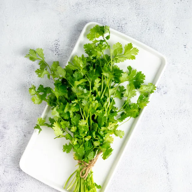 Coriander Leaves (Dhaniya)