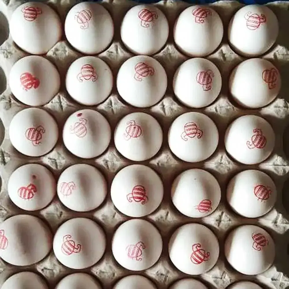 Bahubali Eggs (15 L)