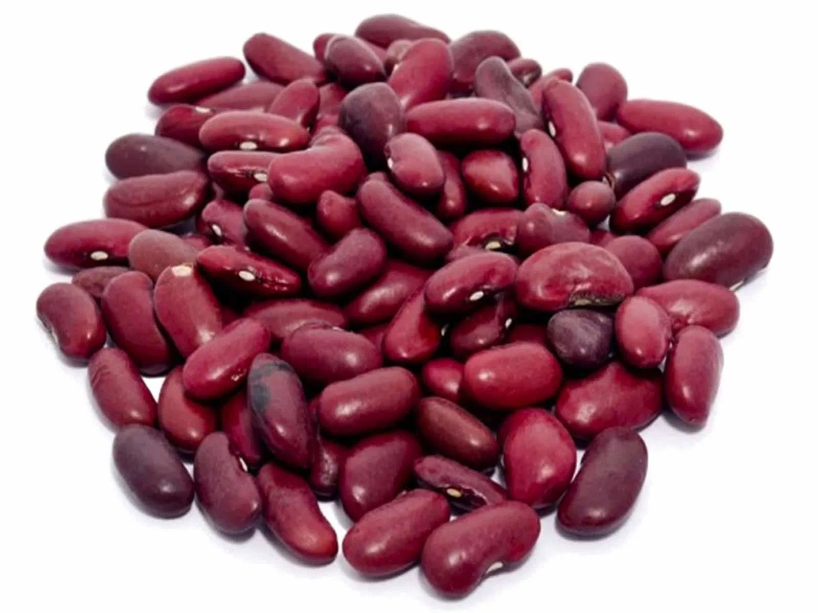 Basic Rajma
