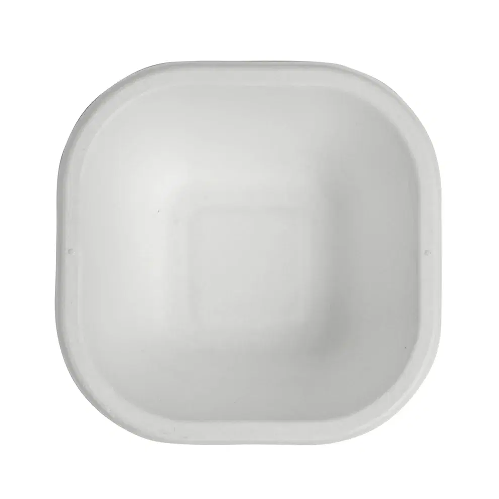 Disposable Plastic Bowl (Medium)