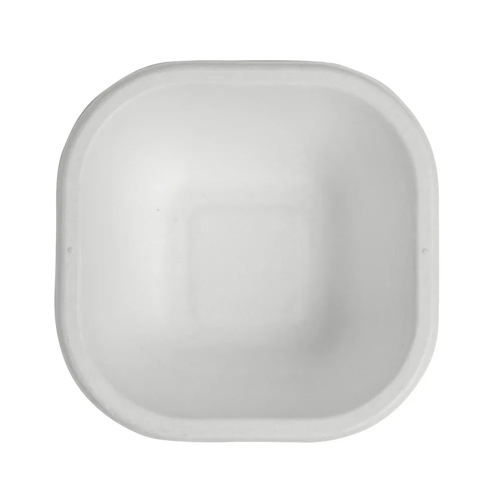 Disposable Plastic Bowl (Medium)