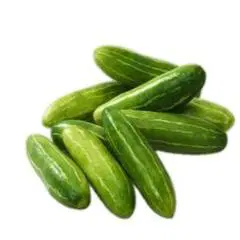 Ivy Gourd (Kundru)