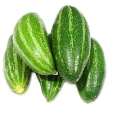 Pointed Gourd (Parwal/Potol)