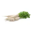 Radish ( Mooli) – image 1