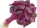 Red Spinach (Morisa Xaak-মৰিচা শাক) – image 1