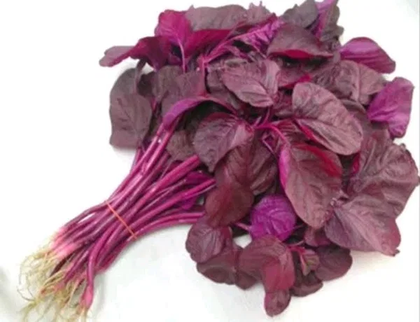 Red Spinach (Morisa Xaak-মৰিচা শাক)