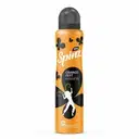 Spinz Orange Zest – image 1