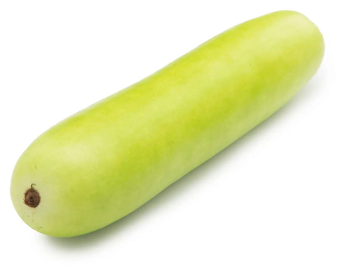 Water Gourd (Lauki) (Big)