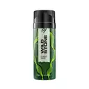Wild Stone Forest Spice – image 1