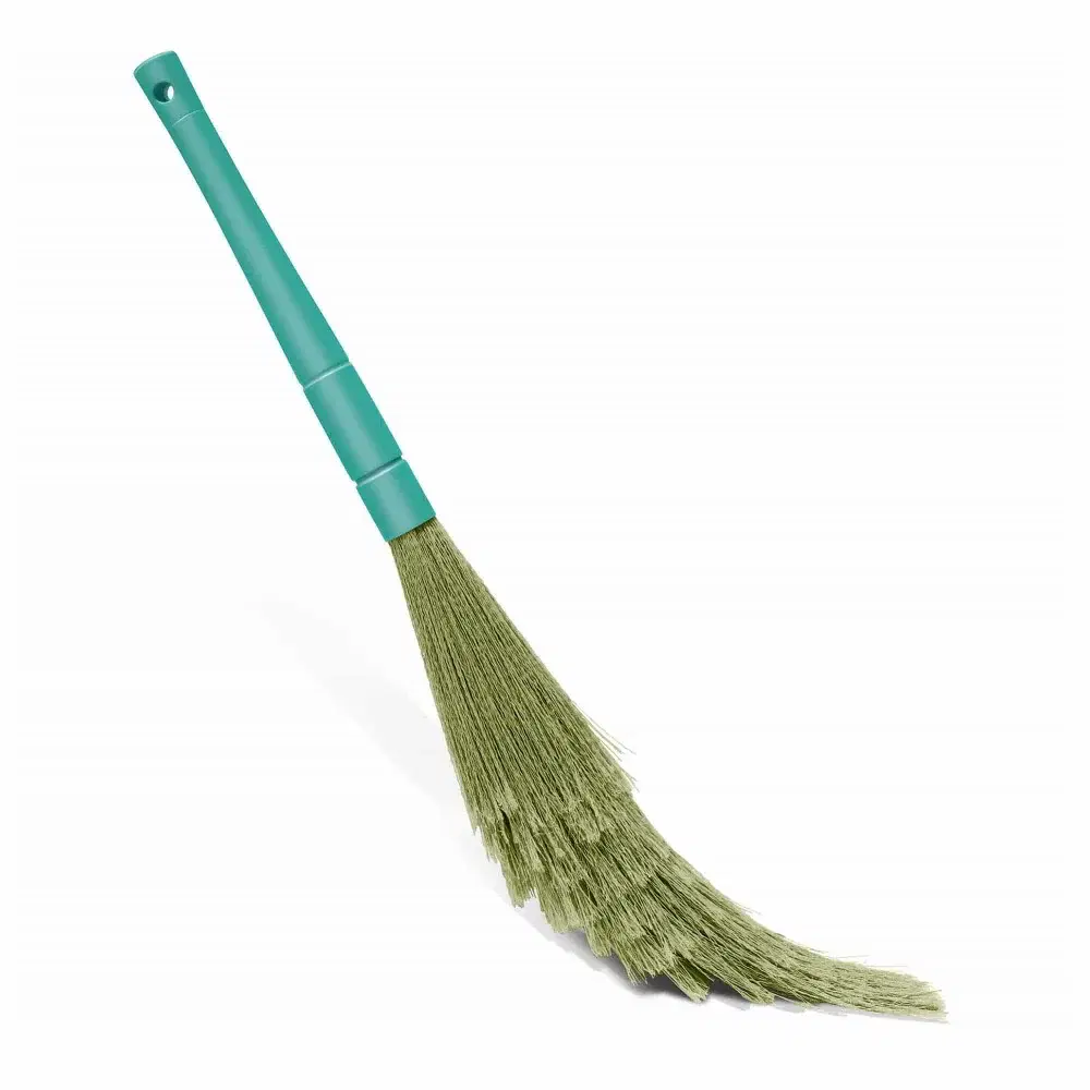 Broom (Phool Jharu)