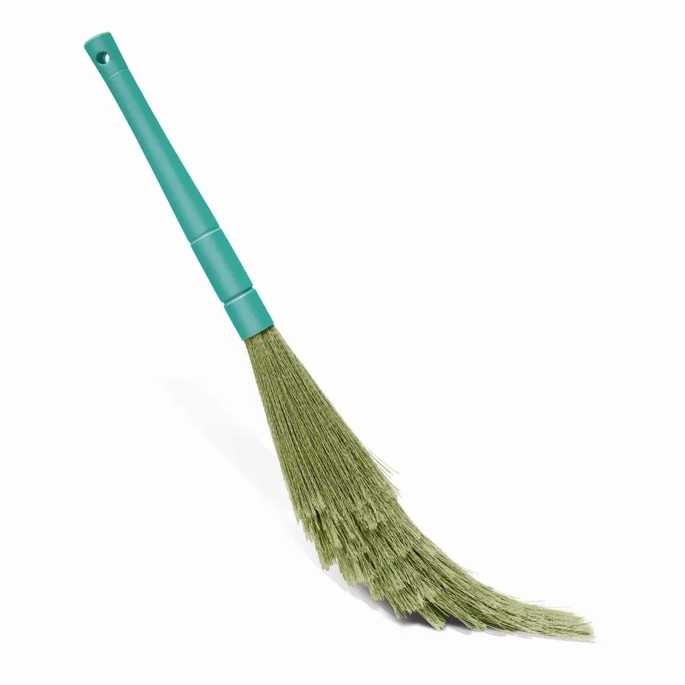 Broom (Phool Jharu)