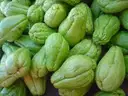 Squash (Chow Chow) – image 1