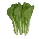 Green Mustard (লাই শাক) – image 1