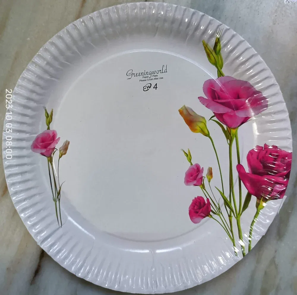 Premium Disposable Paper Plate