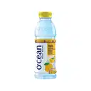 Ocean Fruit Drink 500 ML (Mango & Passion) – image 1