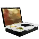 Welcome Box , With Acrylic Top - Pack Of 5 – image 2