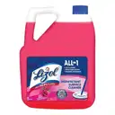 Lizol 5L Floral Disinfectant Surface & Floor Cleaner Liquid – image 1